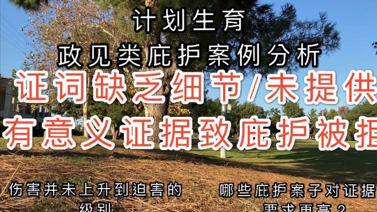 政见类庇护失败案例：未提供有意义证据与证词缺乏细节致庇护被拒；哪些庇护案件对证据要求更高？#庇护#美国庇护#美国庇护面谈 #美国移民 #美国绿卡