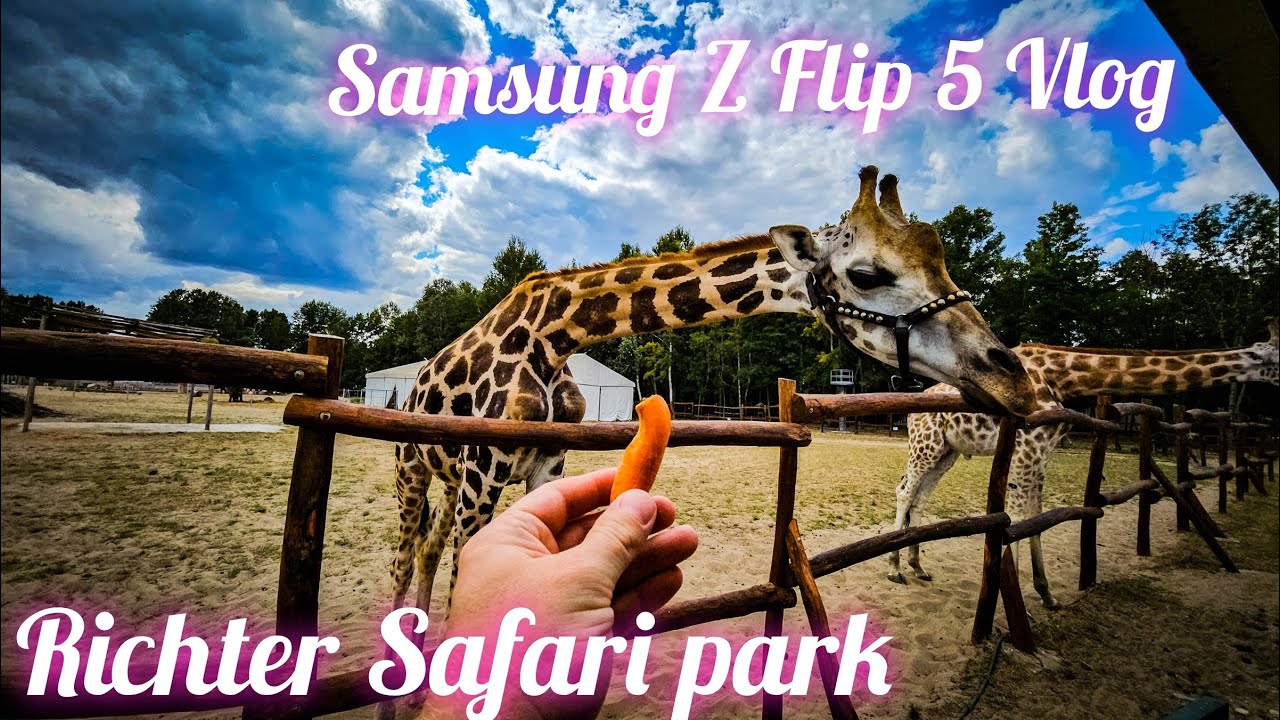 Richter autós Safari park, ahol szemtelen a strucc, lusta a tigris - Samsung Z Flip 5 VLOG E328