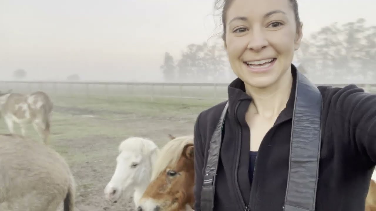 Weekend at The Farm - Love & Laughter at the Animal Sanctuary (Florida Rescue Ranch)