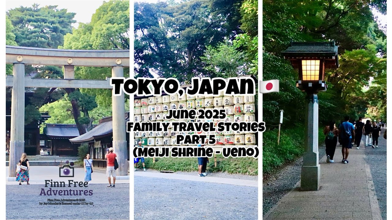 Tokyo, Japan Part 5 | June 2025 - Family Travel Stories by © Finn Free Adventures
