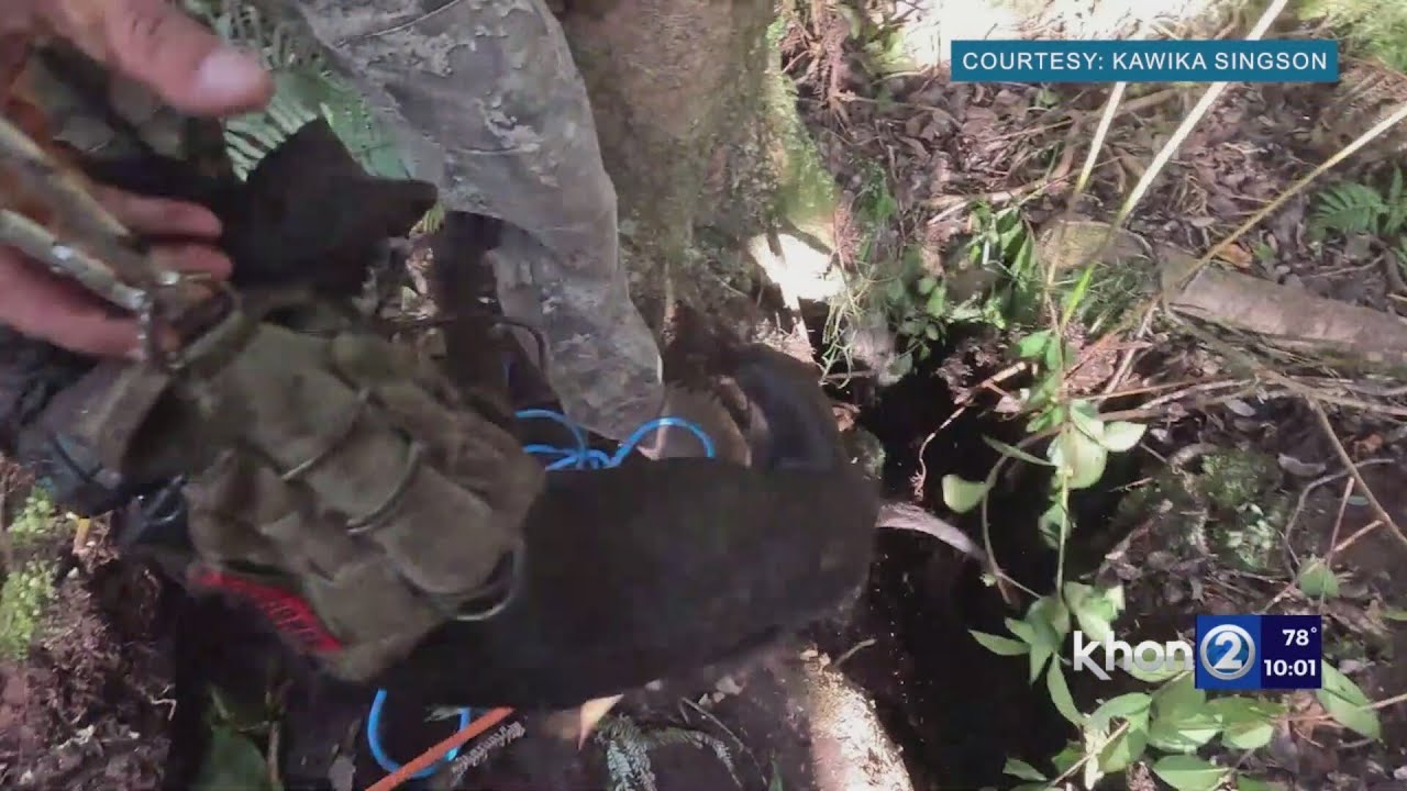 Dog stuck in 25-foot-deep lava tube rescued on Big Island