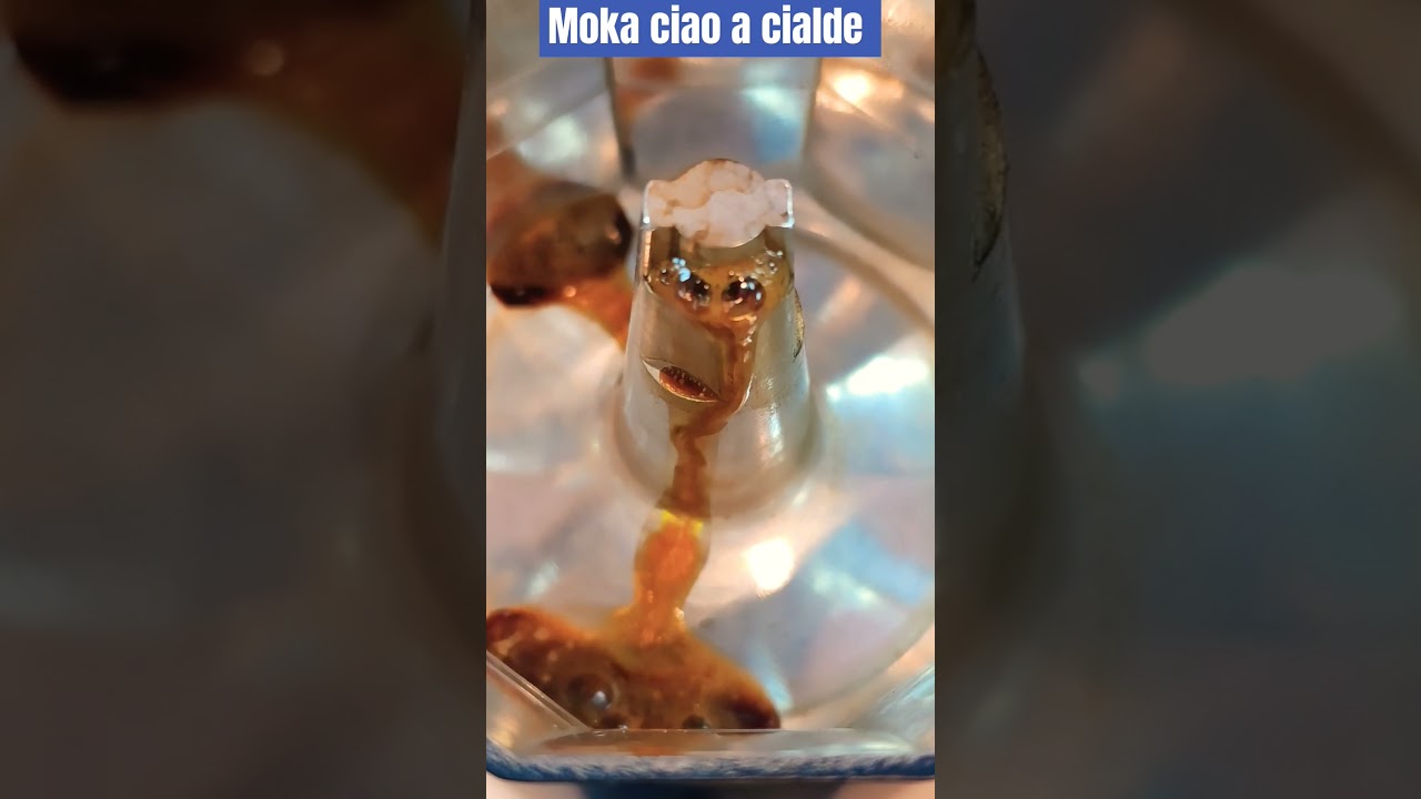Moka a cialde la prima del mercato #borbone #caff&egrave;