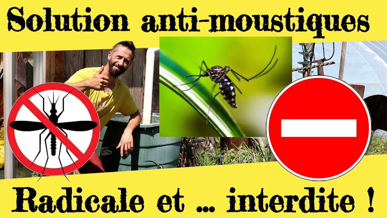 Une solution anti-moustiques RADICALE et ... interdite !