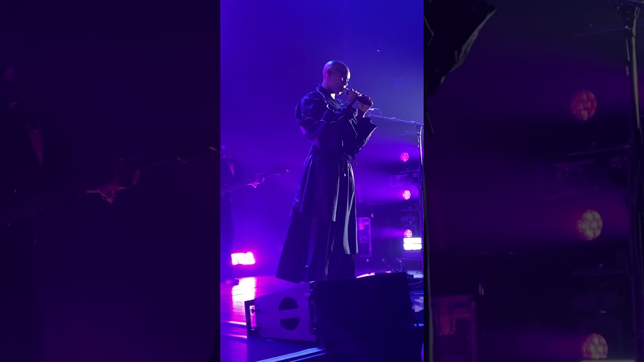 Skunk Anansie  - Lost and Found  -  Roundhouse Camden - 29th March 2025