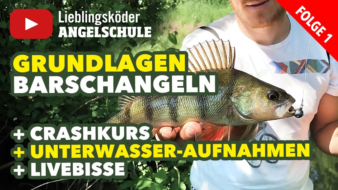 Angeln auf Barsche mit Gummifisch inkl. Livebissen + Unterwasseraufnahmen (Staffel 1, Folge 1)