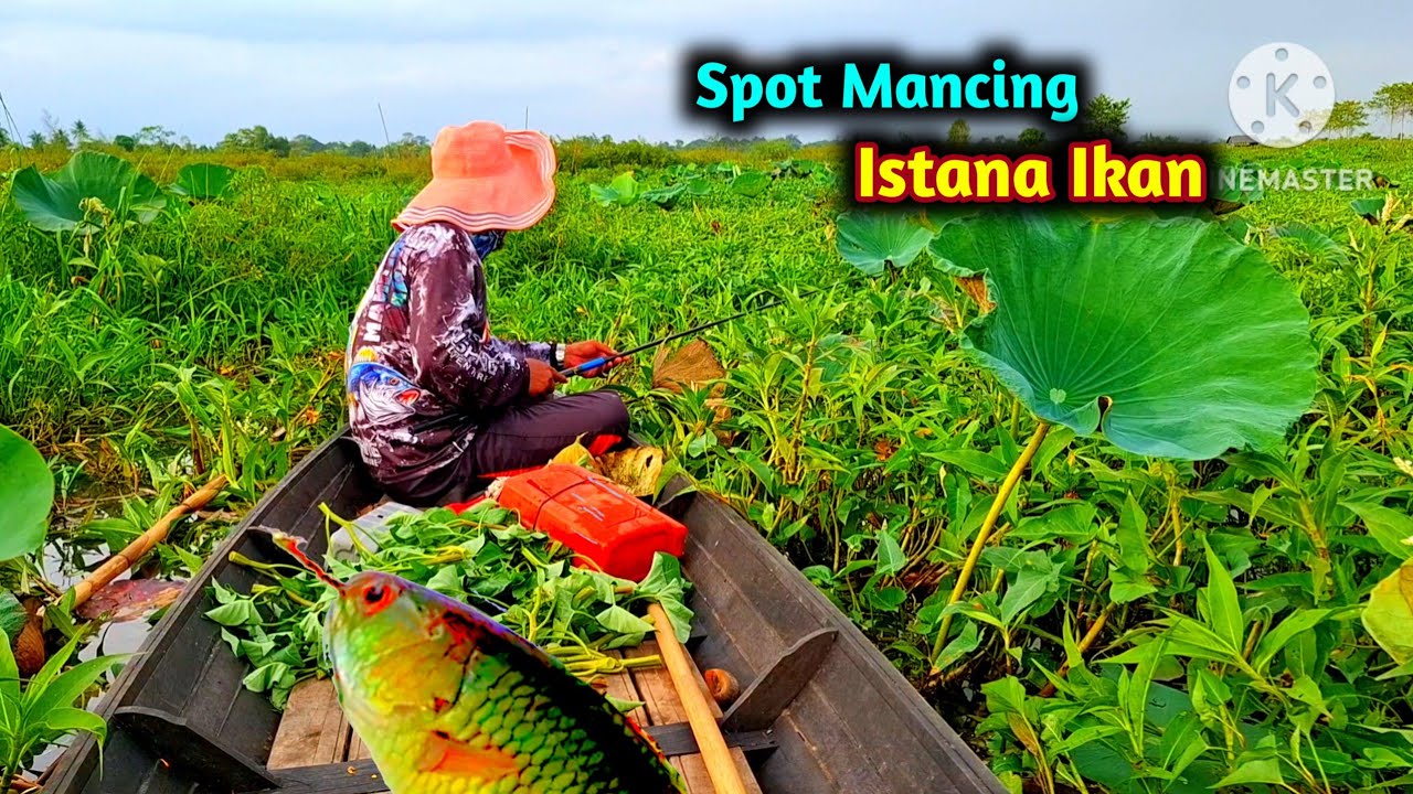 Spot mancing istana ikan