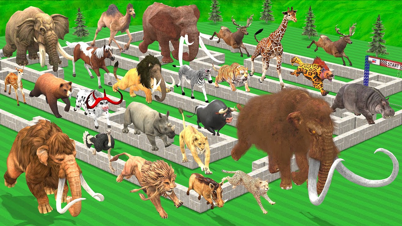 Ultimate Maze Madness Race 23 Wild Animals, Which is the Fastest Animal Revolt Battle Simulator