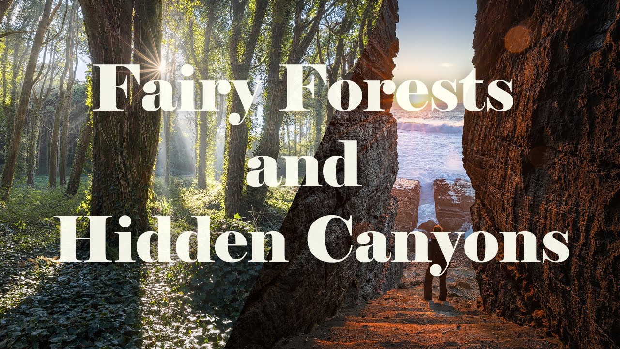 Fairy Forests and hidden Canyons - Photographing Portugal Part 3