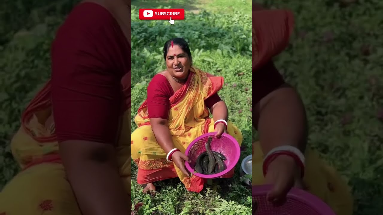 বাজার থেকে ল্যাটা মাছ এনেছে বাগানের মিষ্টি কুমড়া দিয়ে সাধারণ ভাবে বানালাম খুব সুস্বাদু 😛
