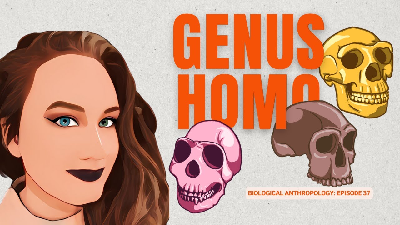 DR H EXPLAINS The Genus Homo