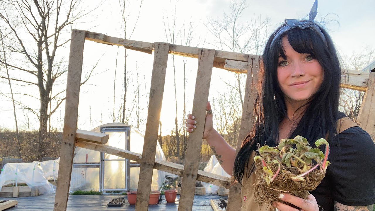 How to Make a Strawberry Planter Out of a Pallet, Planting Bare Root Strawberries /Vlog/