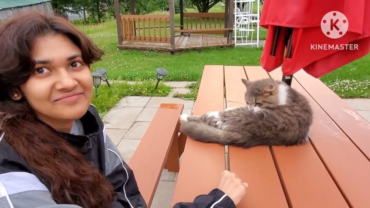 Visiting A country side farmers market / we found a poor cat in the village