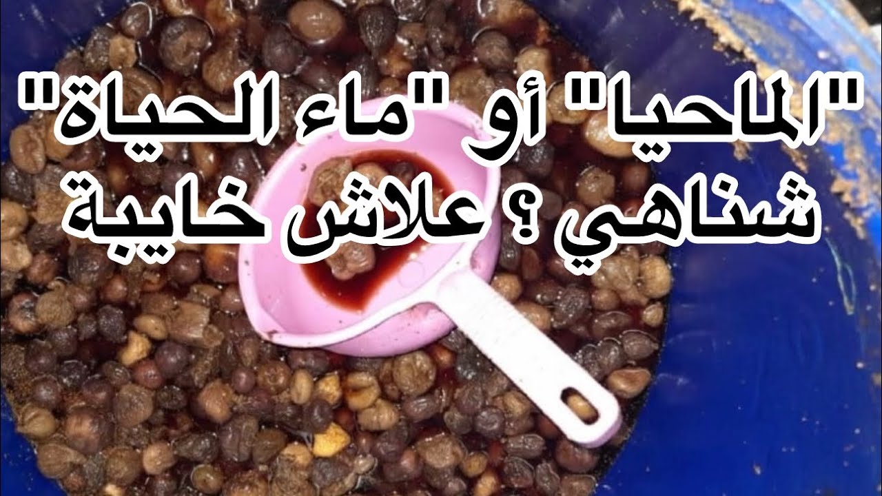 الماحيا&hellip;ماء الحياة  طريقة الصنع ؟؟