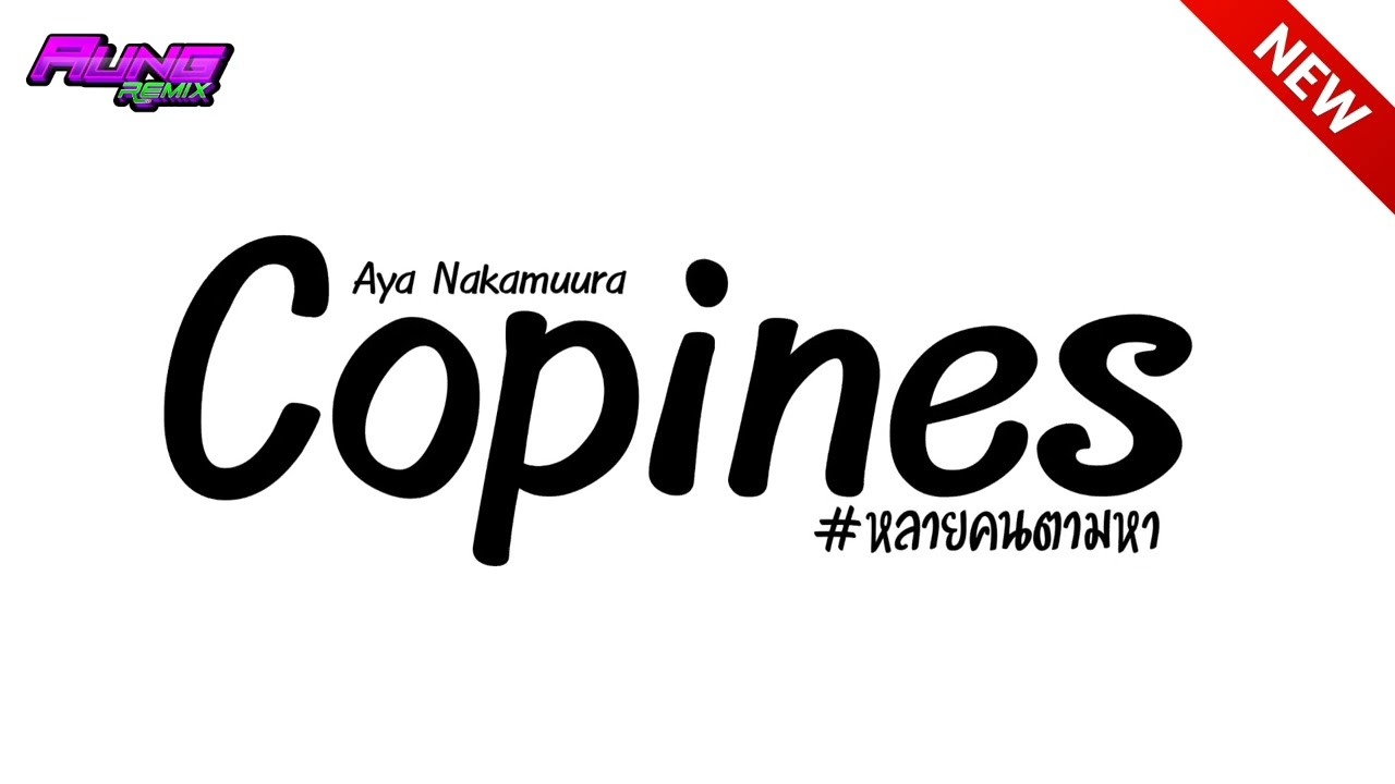 #หลายคนตามหา ( Copines - Pota ) V.แดนซ์มันส์ๆ | Dj Aung Remix