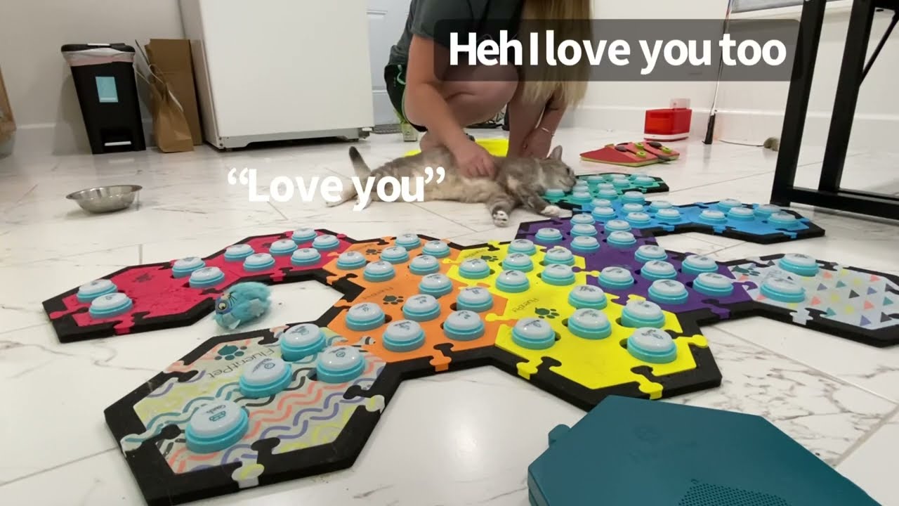 Is This Press Accidental? | BilliSpeaks