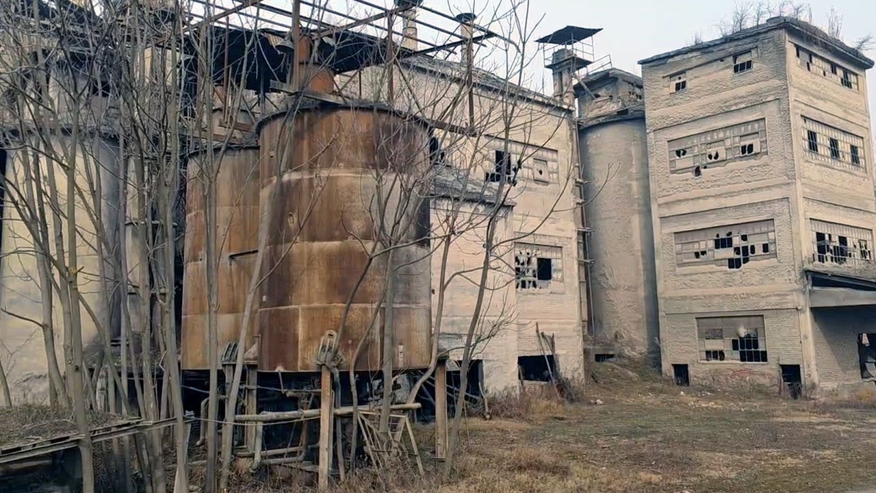 Pulwama: Abandoned Cement Factory Of JK Minerals Becomes Den Of Wild Animals