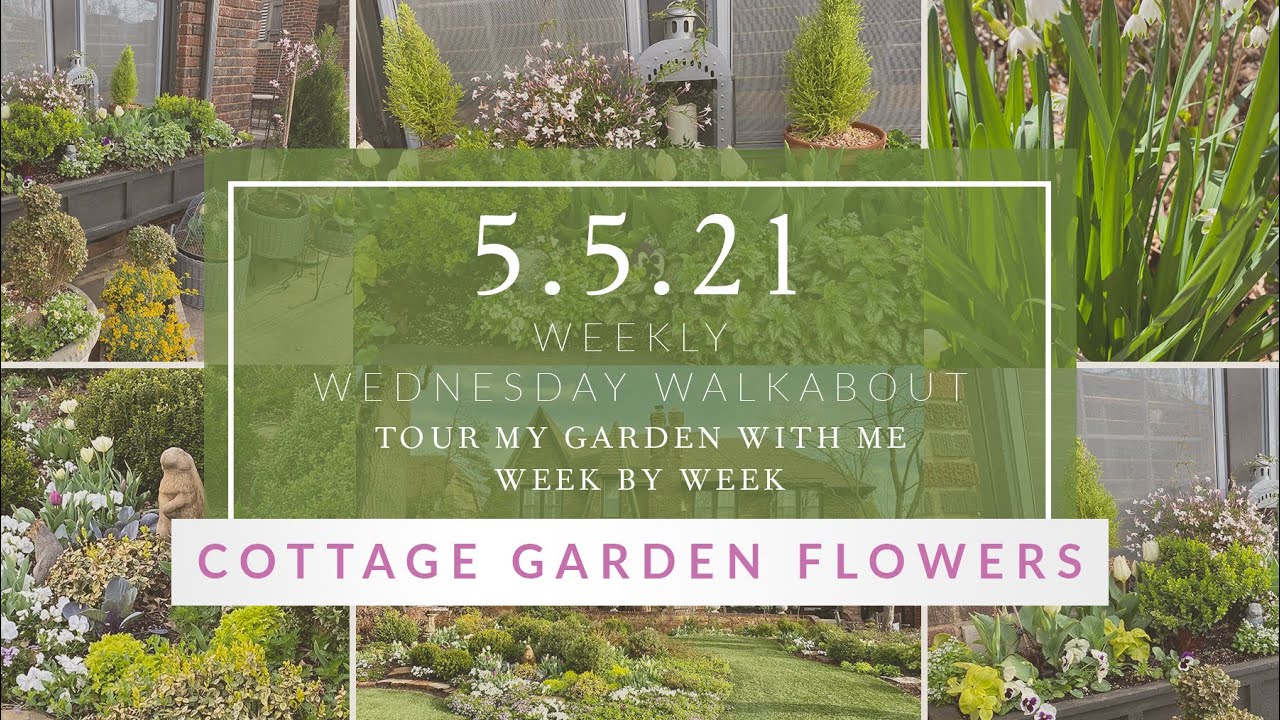 COTTAGE GARDEN FLOWERS: Foxglove, Larkspur, Columbine! // Linda Vater