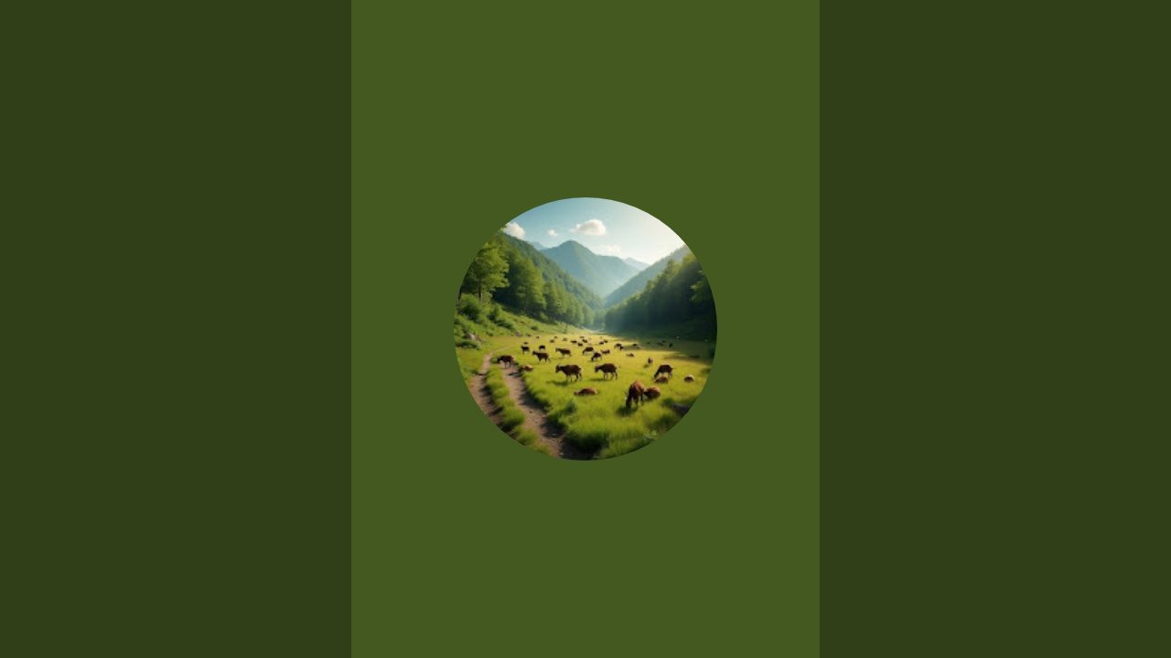 Thar Wildlife Vibes is live!