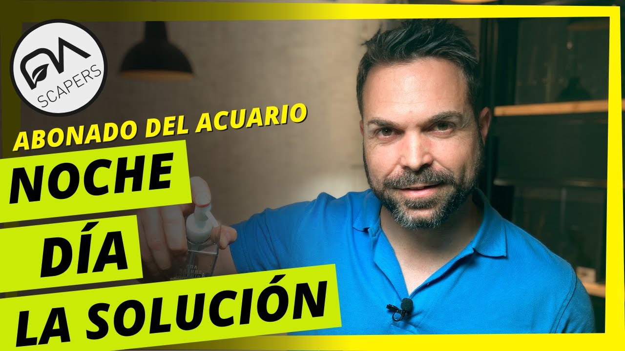 ¿Abonado del acuario de NOCHE o de DÍA? Te damos la SOLUCIÓN