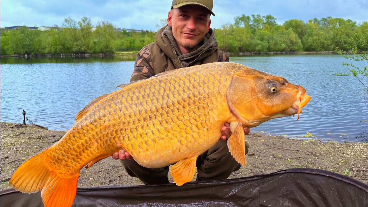 karpervissen in frankrijk op een betaalwater deel 2