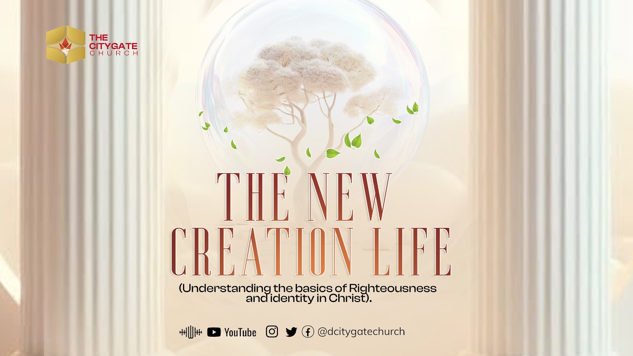 The Morning Dew | 08-02-26