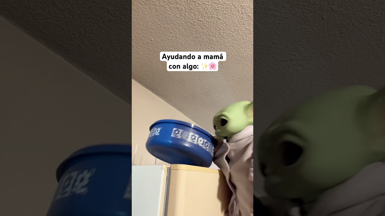 Da miedo cuando se enoja mi pap&aacute; 💀 #humor #meme #babyyoda #pap&aacute;s