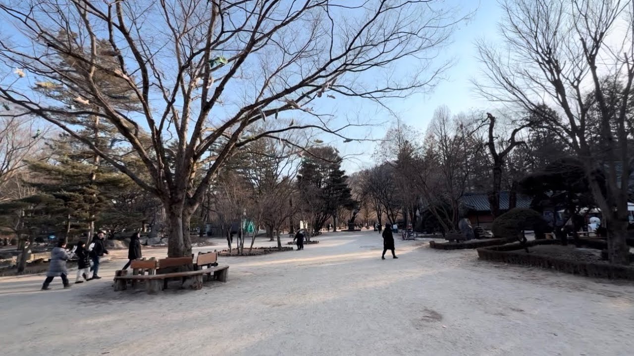 Nami Island Walk February 2026