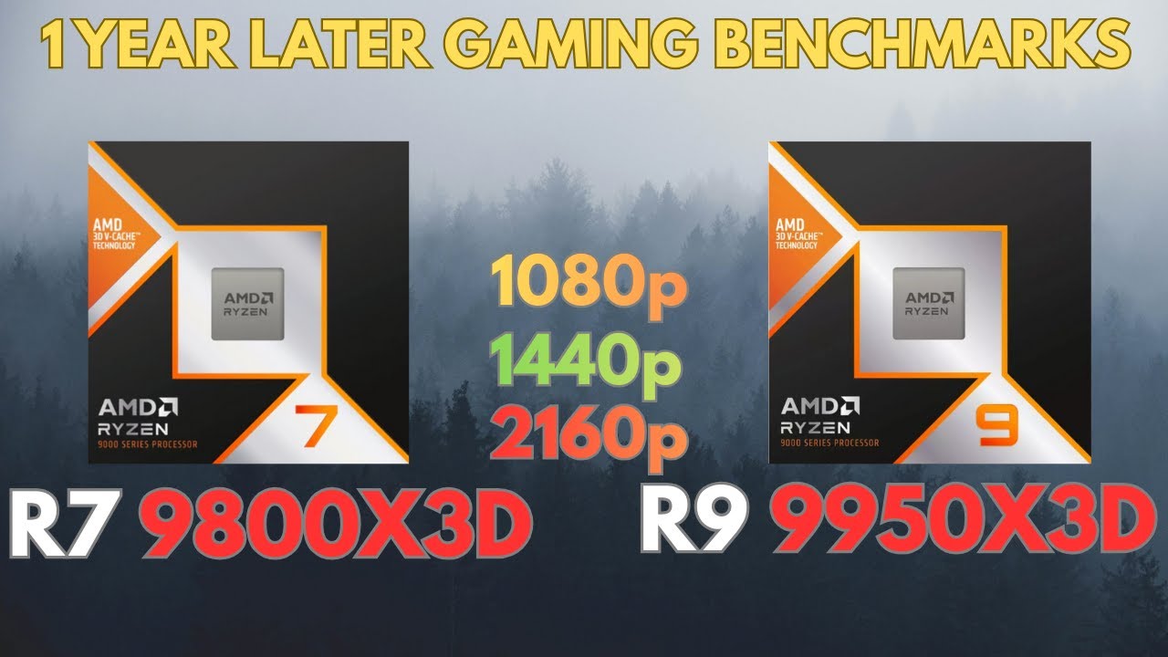 Ryzen 7 9800X3D vs Ryzen 9 9950X3D – 1 Year Later Gaming Benchmarks