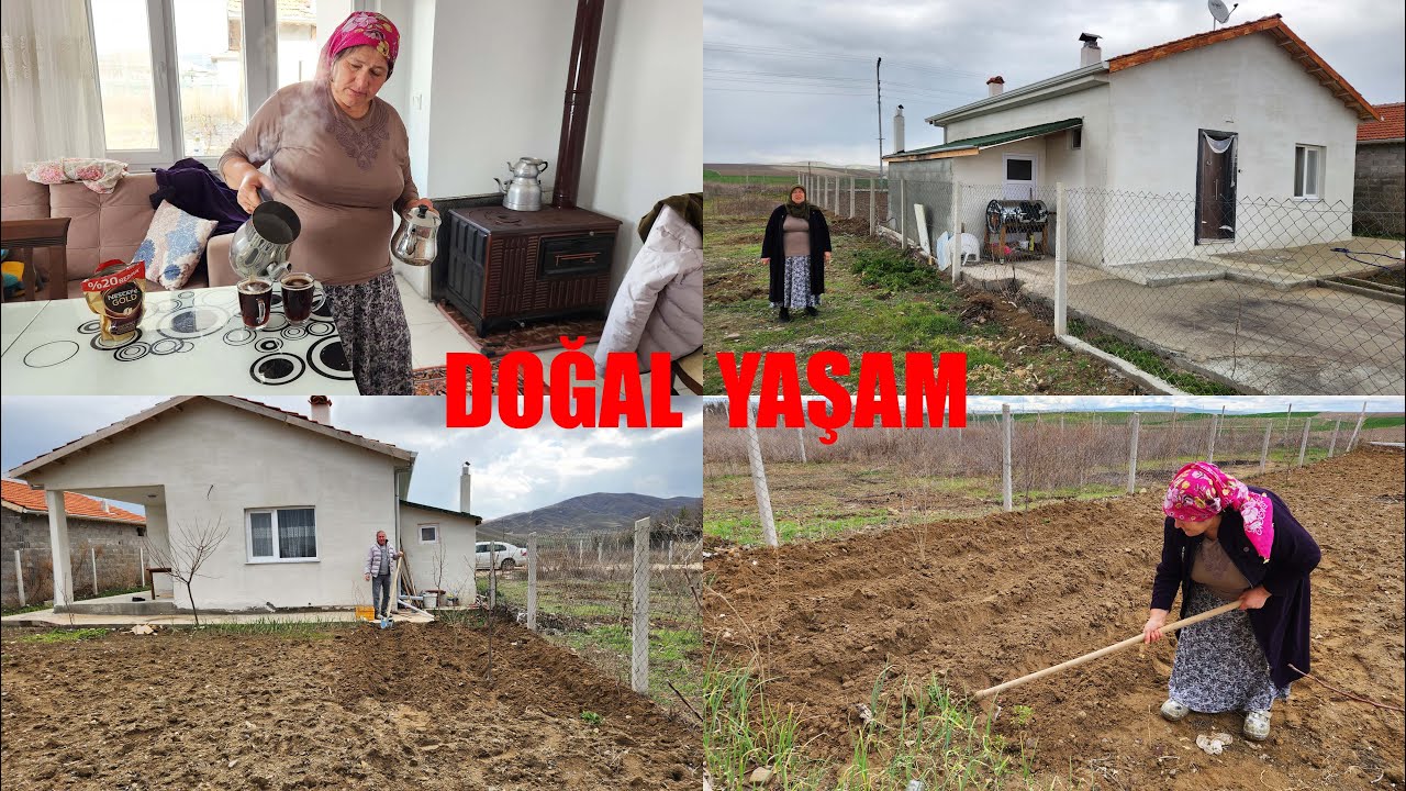 BAHÇEYE EKİM PATATES BAKLA YAPTIK YAĞMURDA ILANDIK SOBAYI YAKTIK