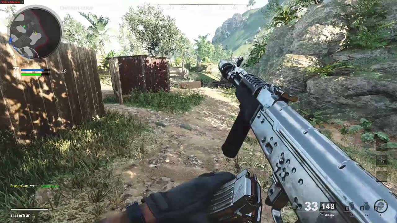 Call of Duty: Black Ops Cold War Execution 2