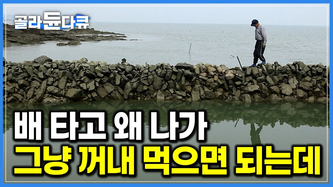 어망 하나 없어도 잘만 잡힌다. 갯벌에 돌담 쌓아두고 물고기 꺼내 먹는 할아버지 일상｜한국기행｜#골라듄다큐