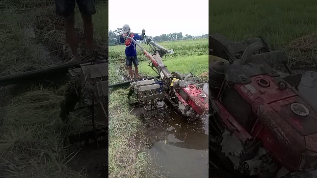 Pindah lahan #fypシ゚viral 