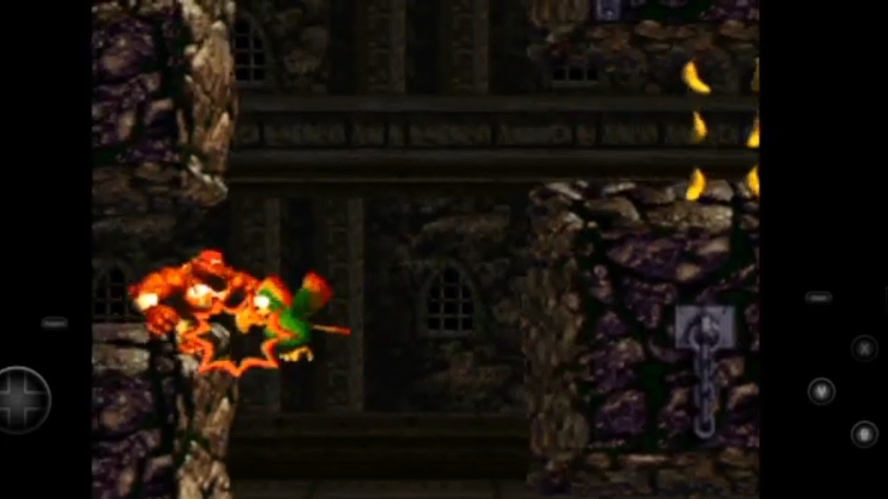 DKC2 Squawks vs RedGuy softlock glitch