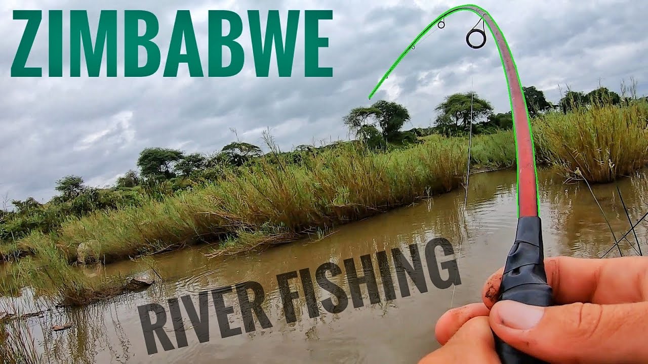 Huge Surprise Catch, while river fishing in Zimbabwe 🇿🇼