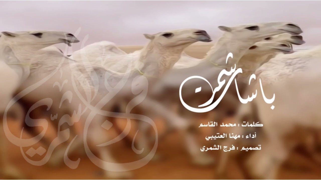 شيلة باشات شمر | مهنا العتيبي ،،، طررررب | وش يجيب الجيب لكزس لـ انتراء