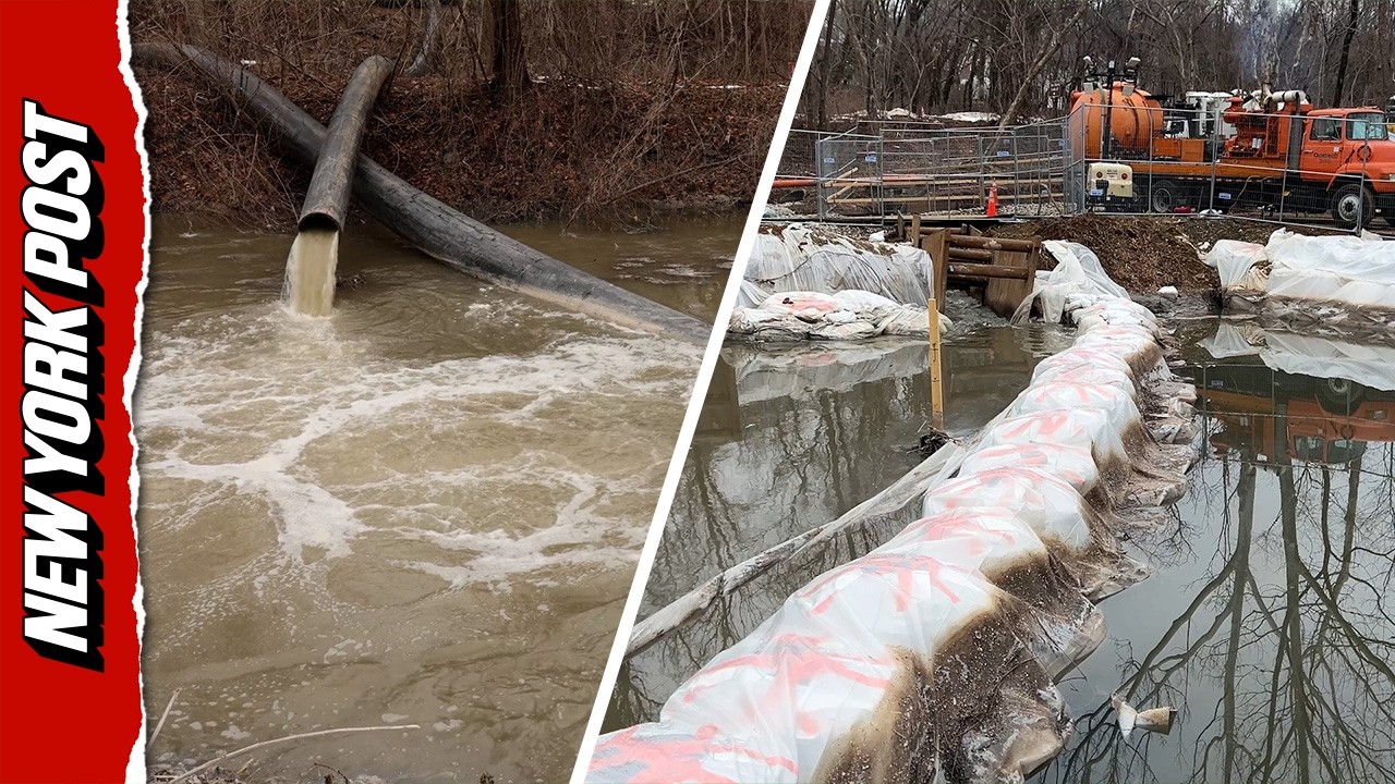 Gallons of Sewage Spill Into Potomac River After Major Pipe Rupture