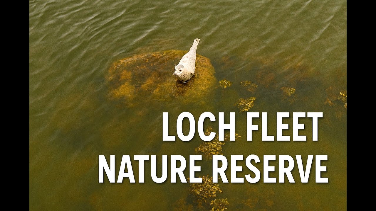 Loch Fleet | The Best Place to See Seals in the Scottish Highlands? - E03