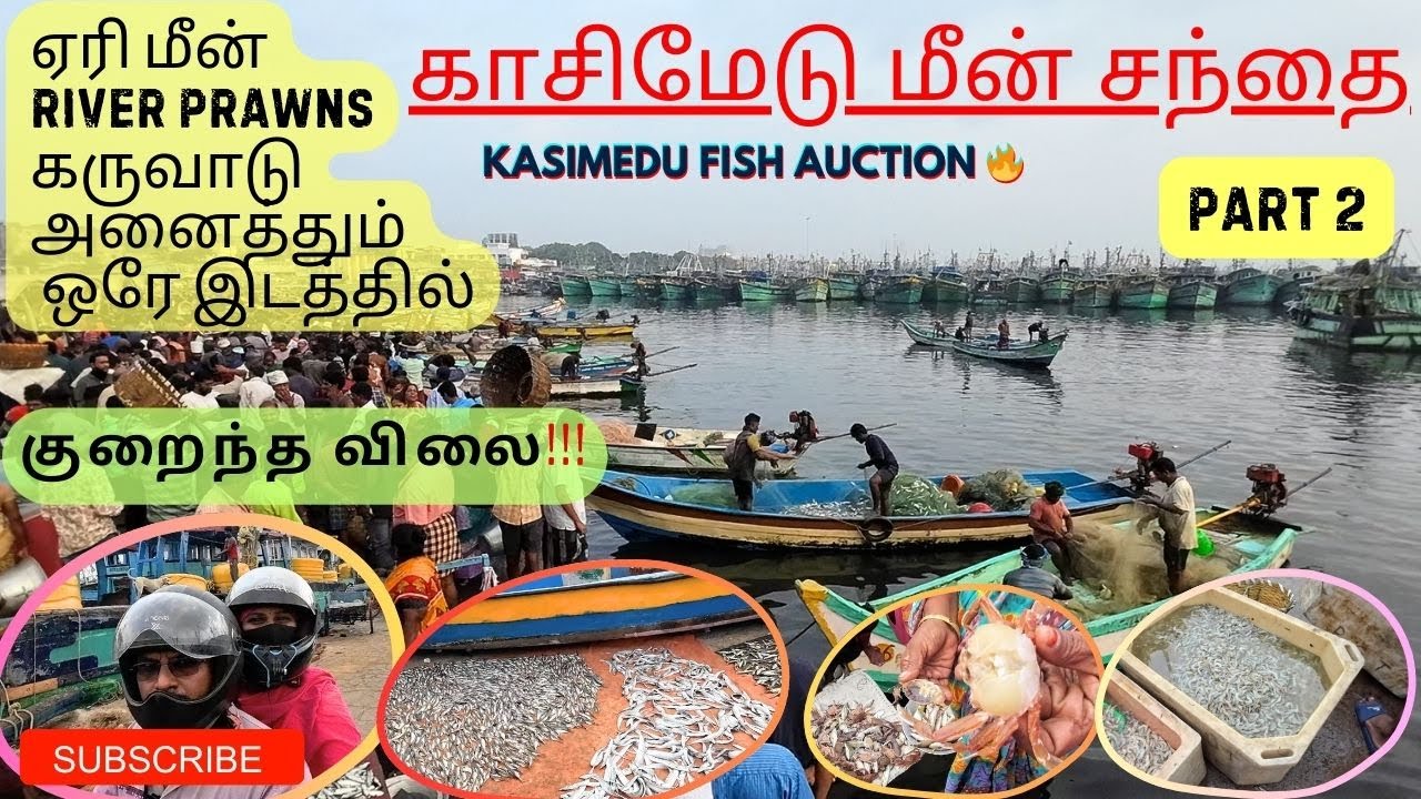 Kasimedu Fish Market - PART 2 | 💥💯sunday-ல களைகட்டும் காசிமேடு market  | அனல் பறக்கும் மீன் ஏலம்🔥