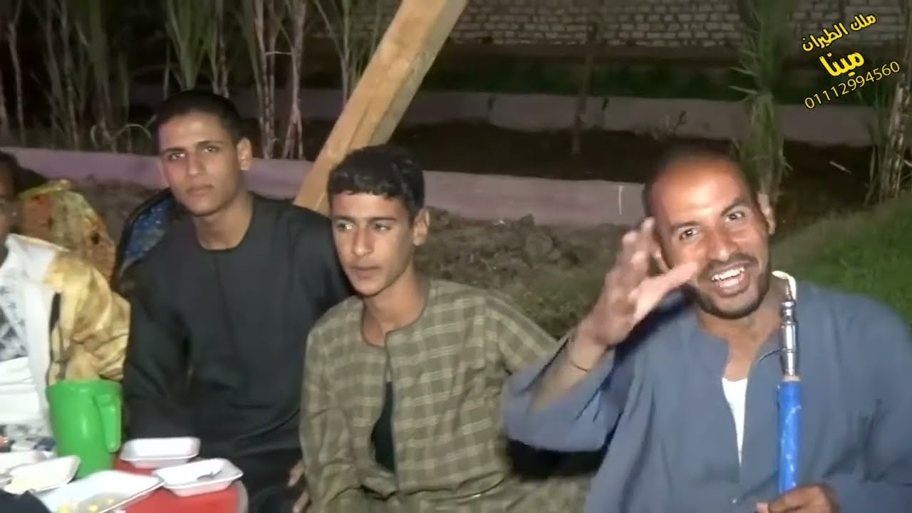 افراح الصياد و الفنان محمد خليل و العريس محمود توفيق  3
