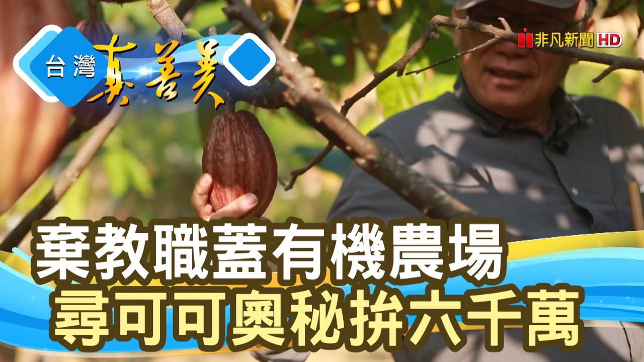 “可可農場”拚六千萬黑金｜阿信巧克力農場｜【台灣真善美】2021.08.29