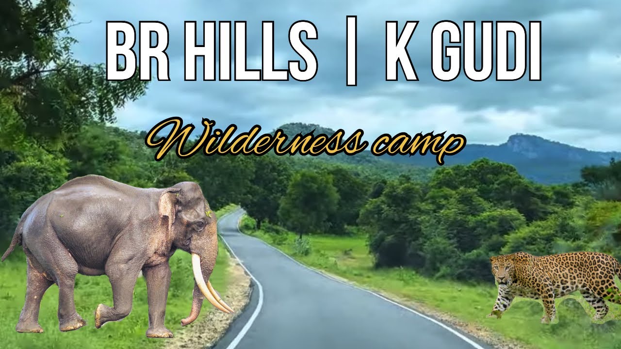BRT TIGER SAFARI | BR Hills Temple | K Gudi Wilderness Camp Jungle Safari | 170km from Bangalore