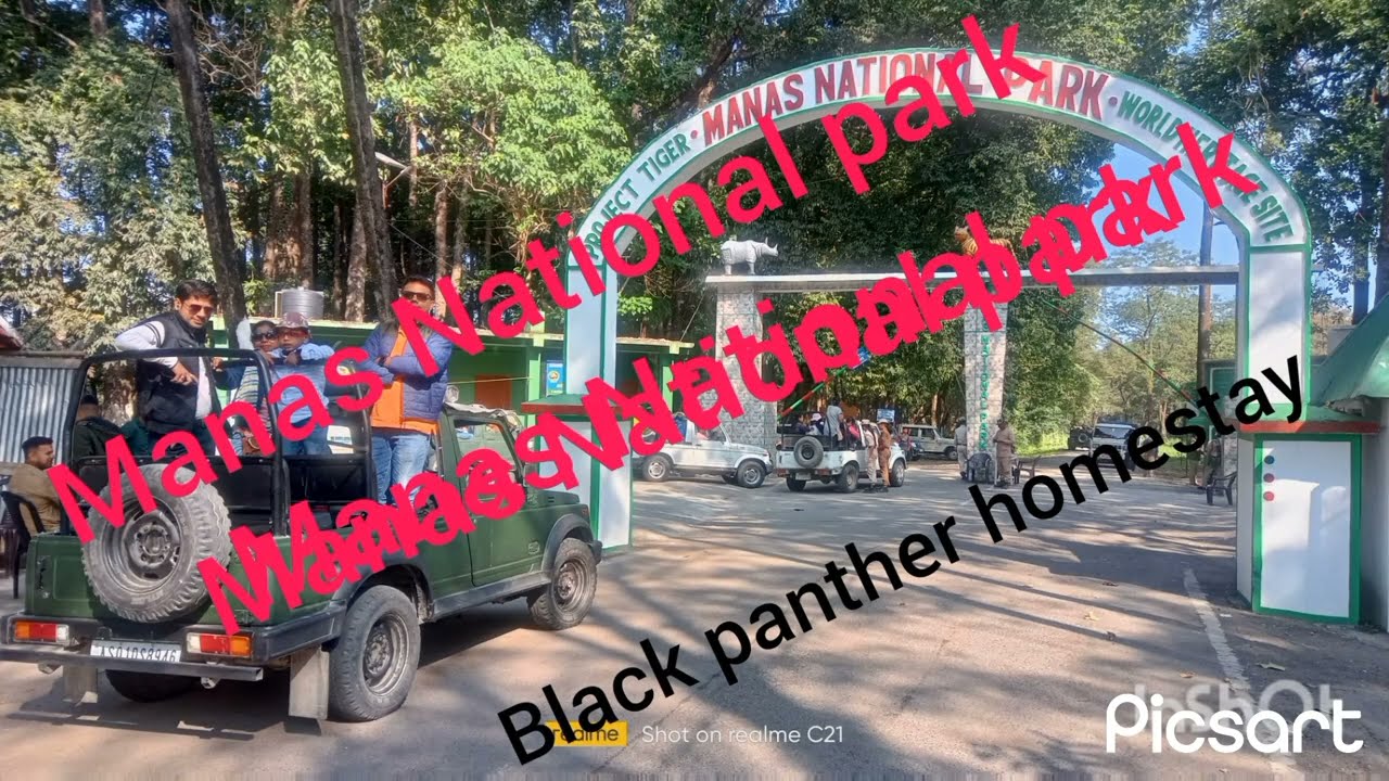 Manas National park, black panther homestay,  jeep safari,  booking Available, booking nu 7002306552