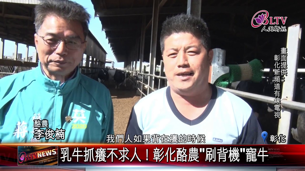 20191225 乳牛抓癢不求人！彰化酪農