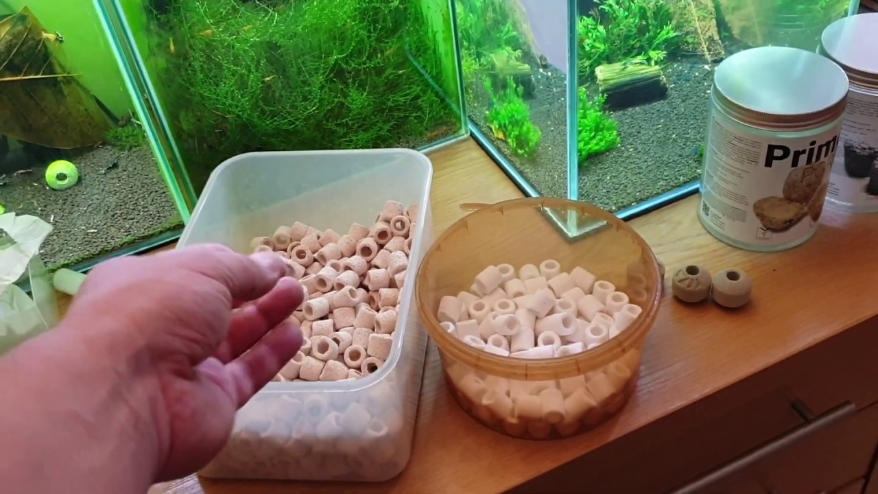 CryMore Shrimps - Jaką ceramikę wybrać do filtracji w akwarium?