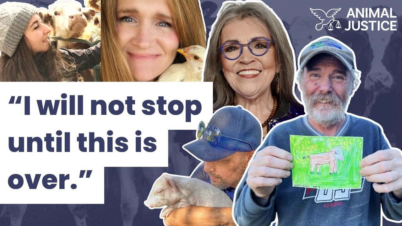 From Animal Farmers to Animal Advocates | Animal Justice Panel