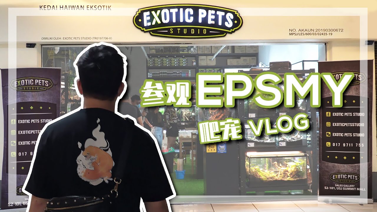 参观 EPSMY 爬宠 Vlog~