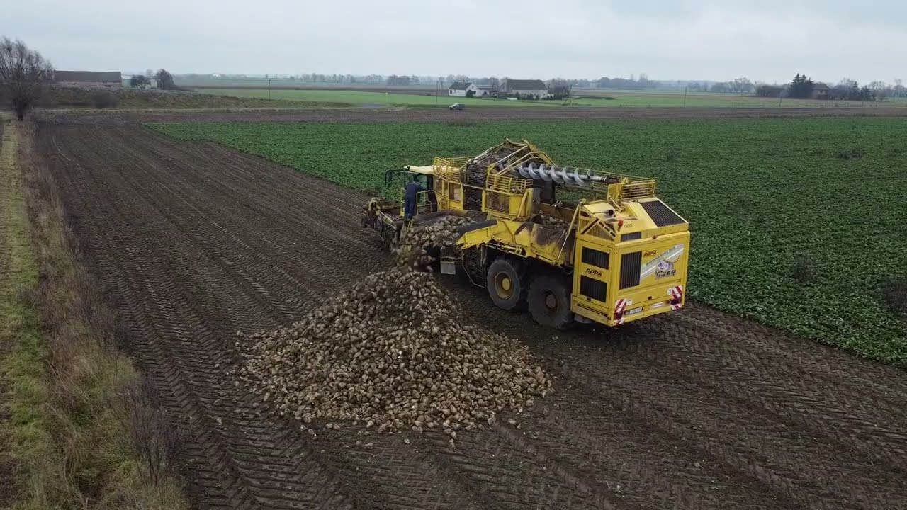 Kampania Buraczana 2022 / Agro-Mar / Ropa Tiger 5