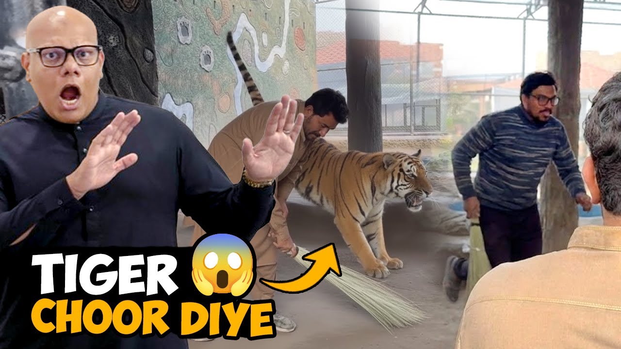 Locked Ahmad In Tiger Cage🐅 | BT Farm Stories