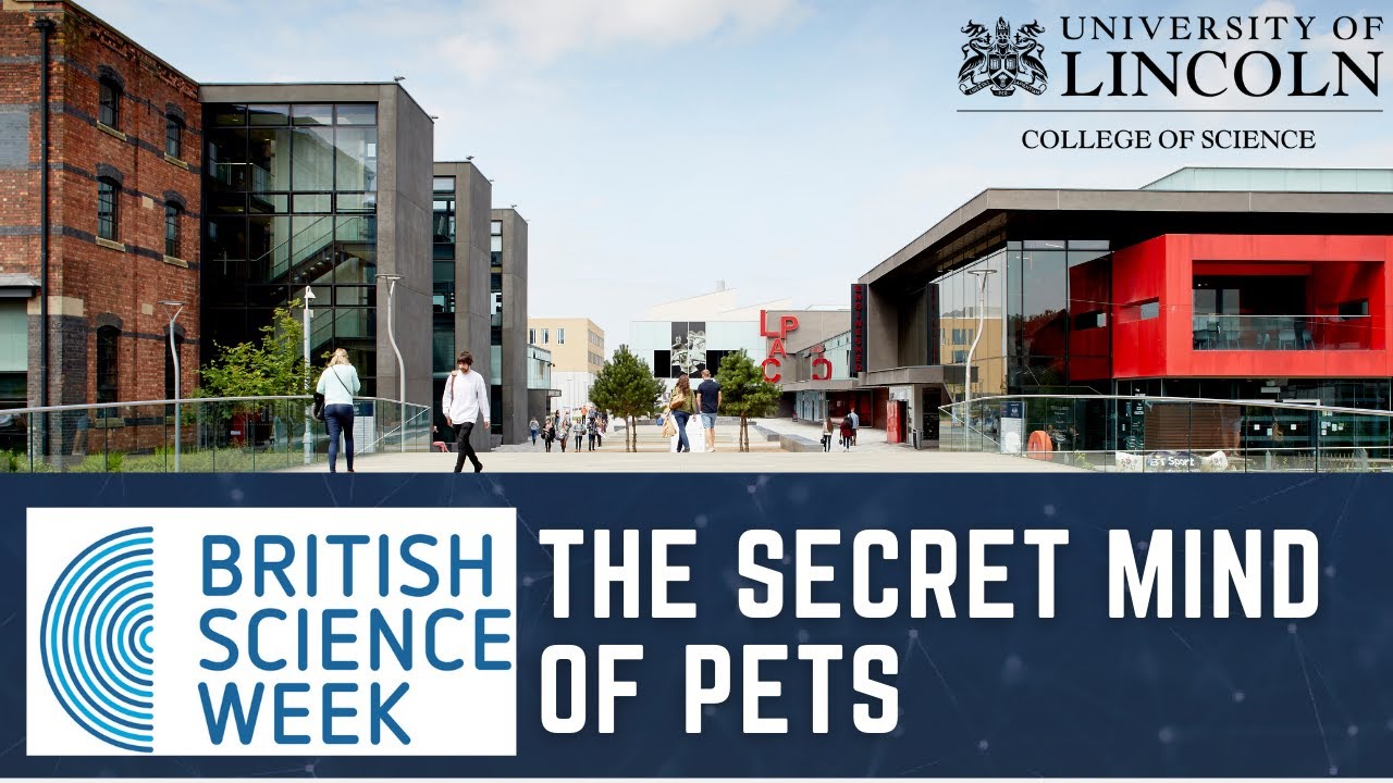 The Secret Mind of Pets | Professor Anna Wilkinson, Professor of Animal Cognition