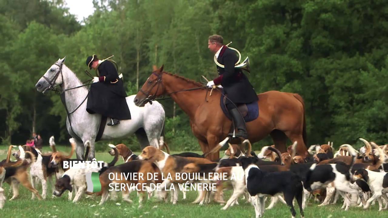 Olivier de La Bouillerie, au service de la v&eacute;nerie